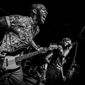 Meet your Posher, Bear